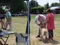 IMG_4478web