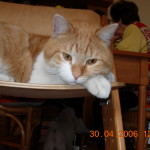 DSCN3155