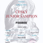 titul-junior-sampion-web