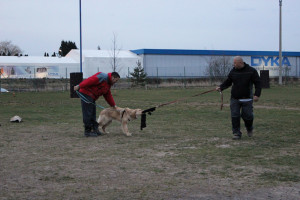 IMG_3929web