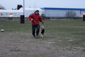 IMG_3954web