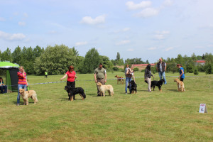 IMG_4438web
