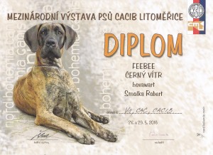 diplom litomerice 39052016